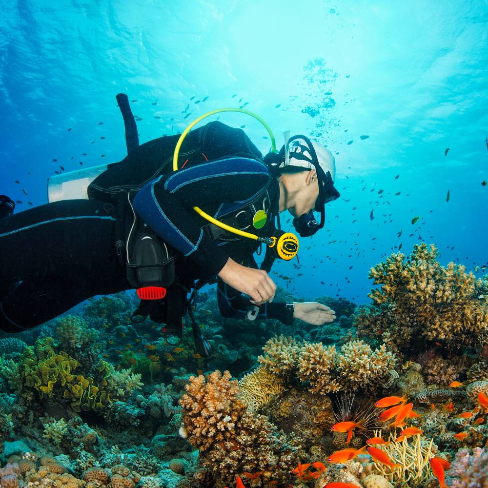 Andaman